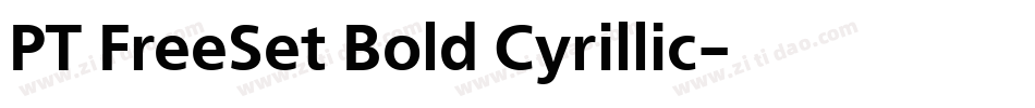 PT FreeSet Bold Cyrillic字体转换
